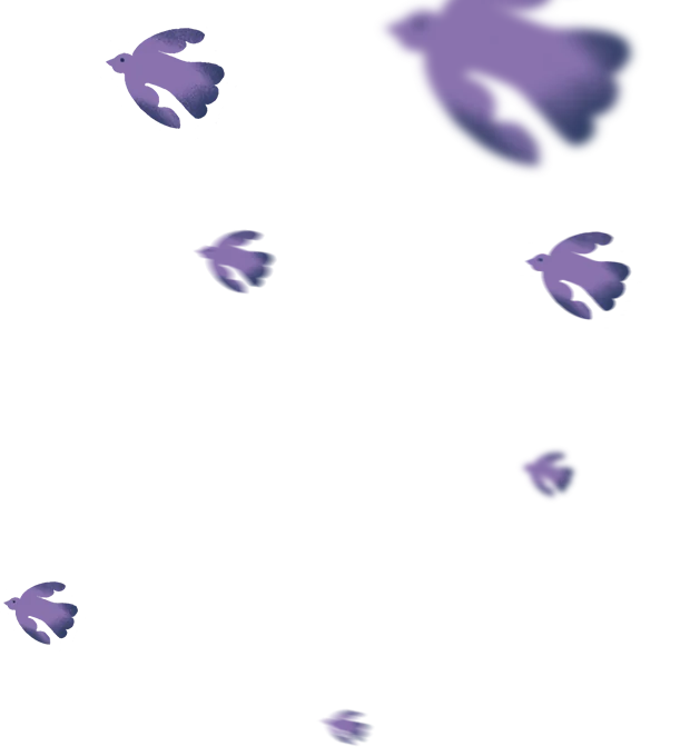 Ilustração de pássaros